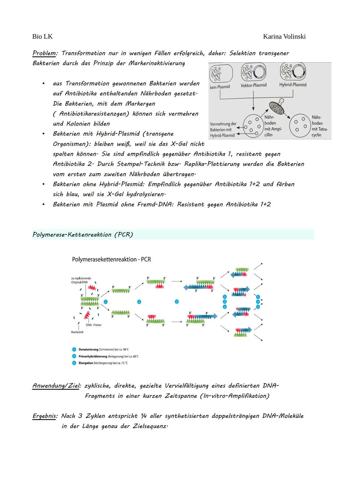 Bio LK
Gentechnik
Gentechnik
●
0 Restriktionsenzyme
●
O
DNA-Klonierung/Selektion von transgenen Bakterien *
O Polymerase-Kettenreaktion (PCR