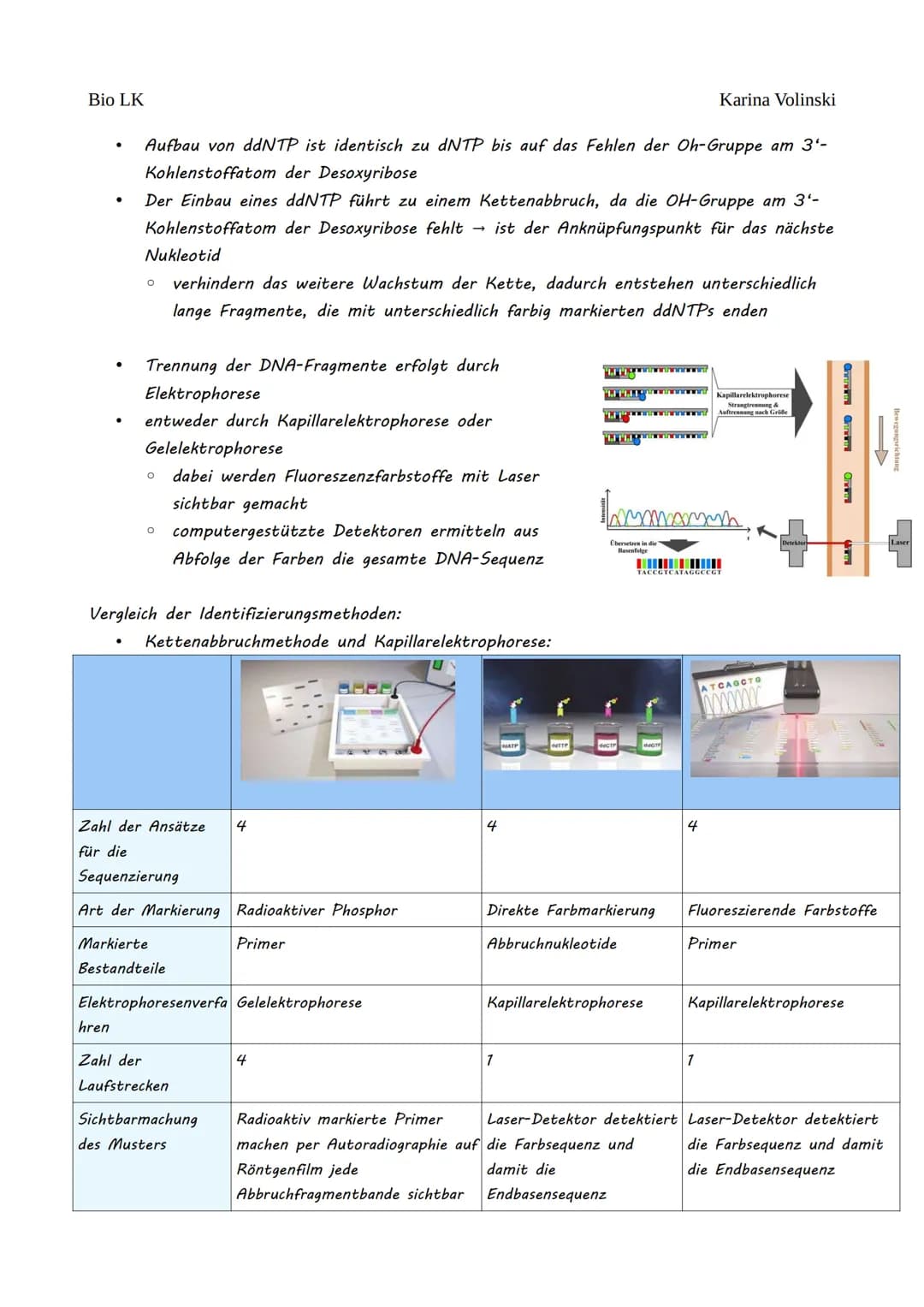 Bio LK
Gentechnik
Gentechnik
●
0 Restriktionsenzyme
●
O
DNA-Klonierung/Selektion von transgenen Bakterien *
O Polymerase-Kettenreaktion (PCR