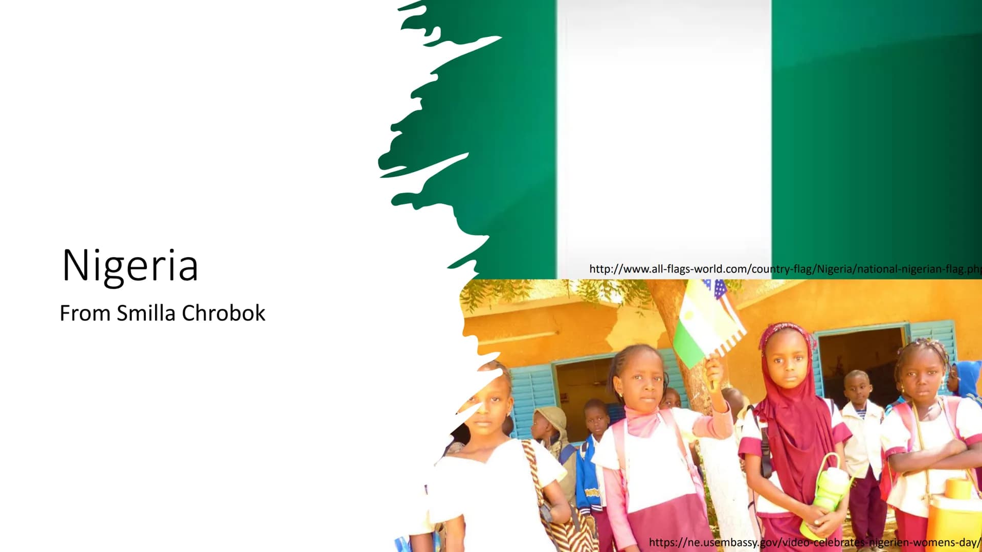Nigerial
From Smilla Chrobok
http://www.all-flags-world.com/country-flag/Nigeria/national-nigerian-flag.php
PIKU
https://ne.usembassy.gov/vi