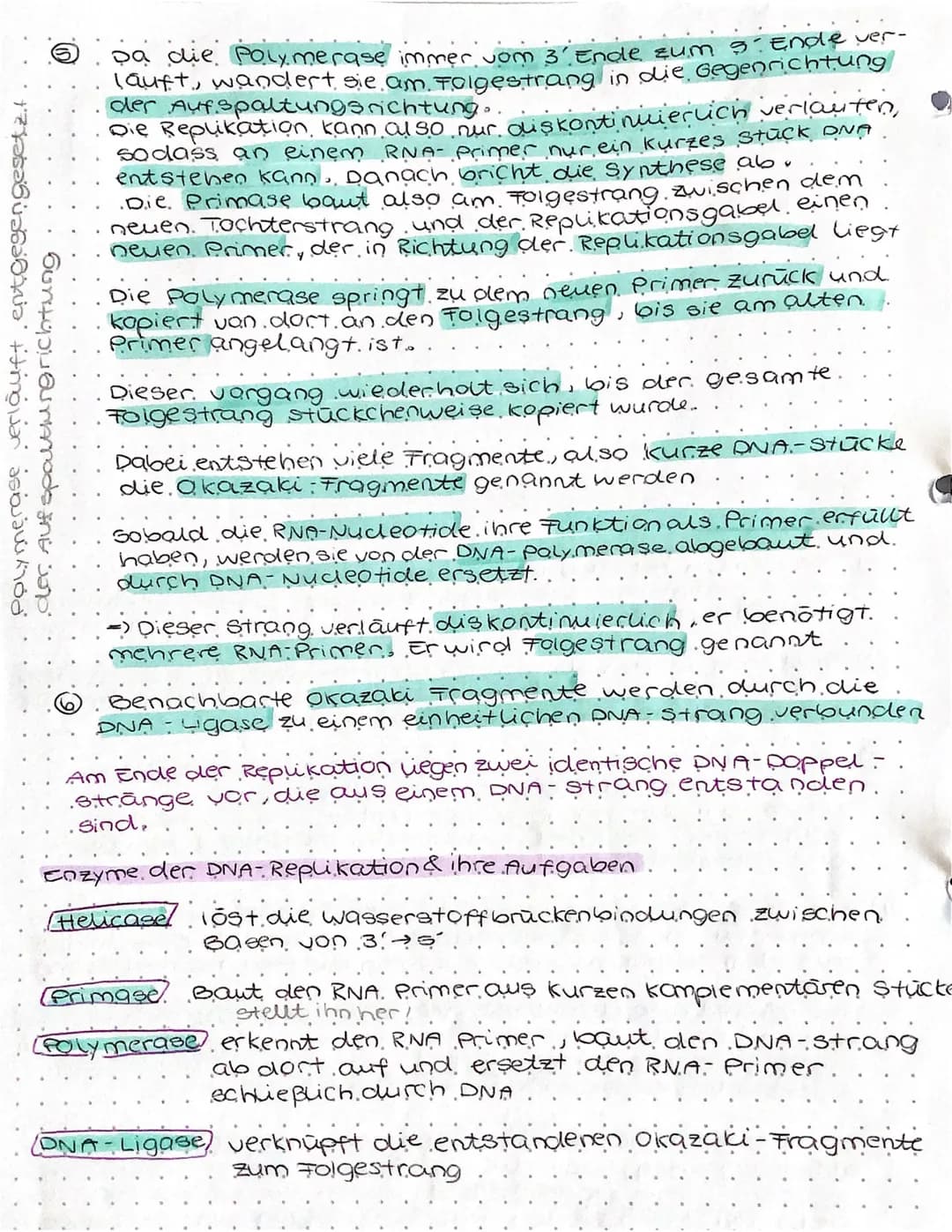 Identische verdopplung der DNA/ DNA. Replikation.
Helicase
Wanderungs-
richtung
der Helicase
5-Ende
3-Ende
OOOD
Bildung der
Replikationsgabe
