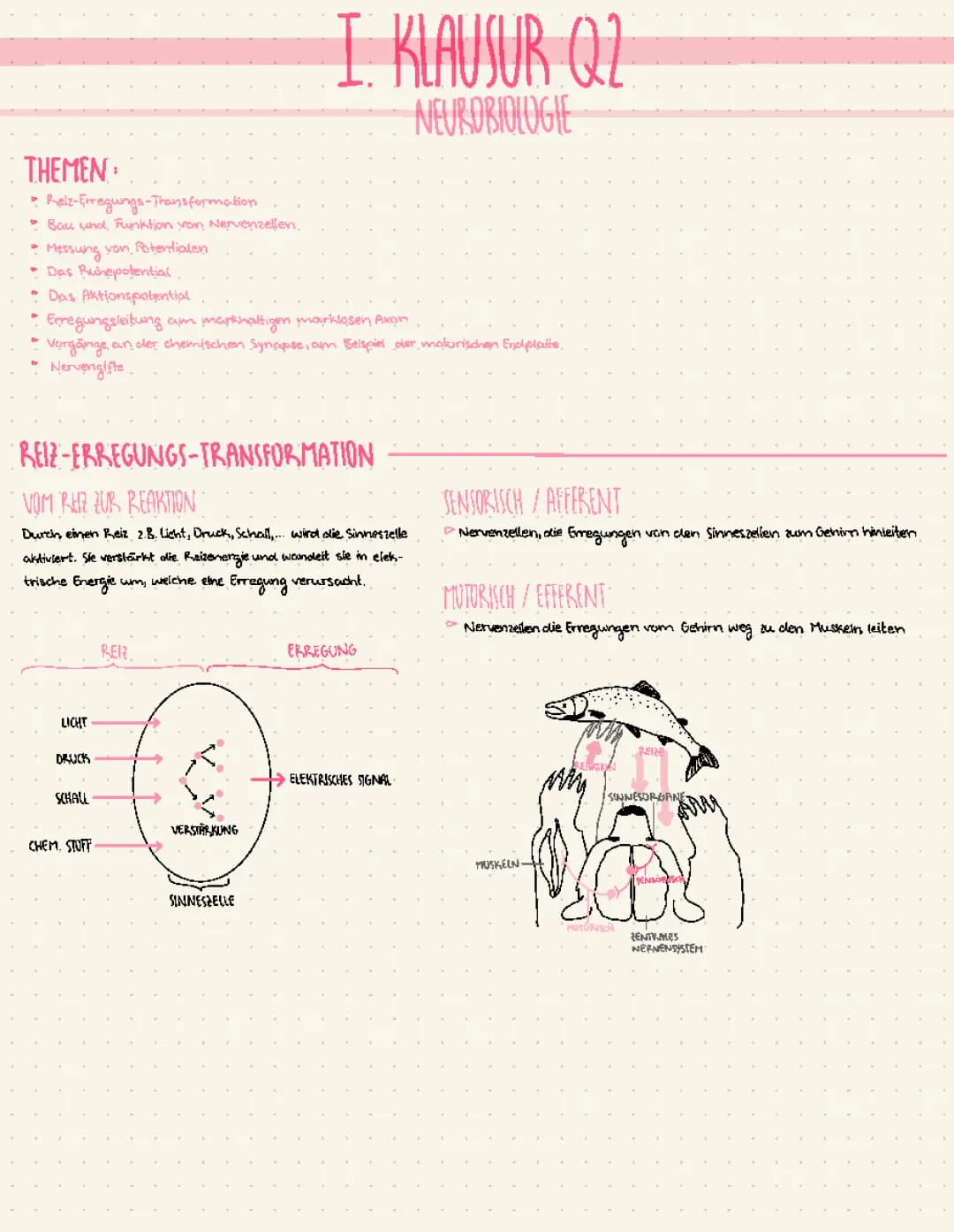 Neurobiologie