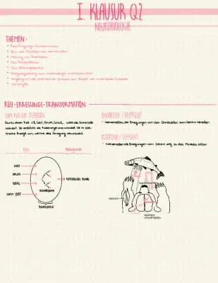 Know Neurobiologie thumbnail