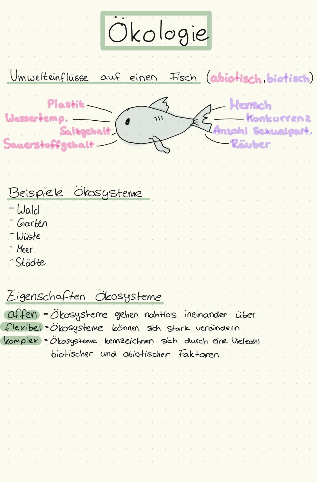# Okologie

Ökosystem
*   besteht aus einem Lebensraum (Biotop)
und den darin lebenden Pflanzen u. Tieren (Biozonose)

Biotop:
= Ökosystem o
