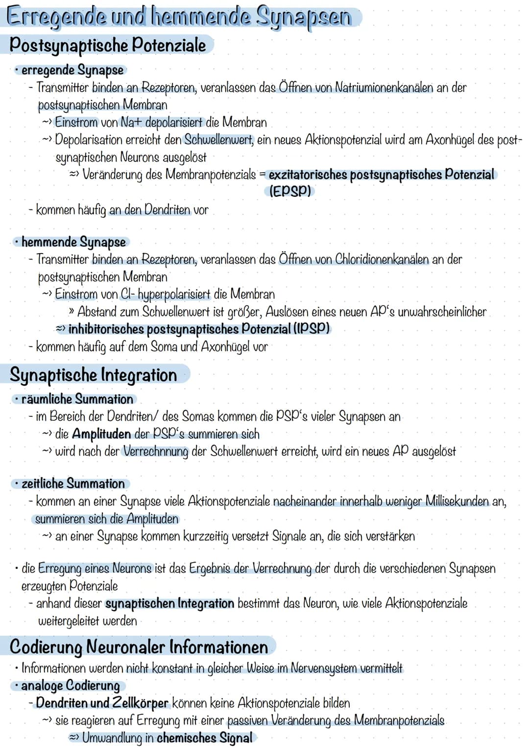 Erregende und hemmende Synapsen
Postsynaptische Potenziale
• erregende Synapse
Transmitter binden an Rezeptoren, veranlassen das Öffnen von 