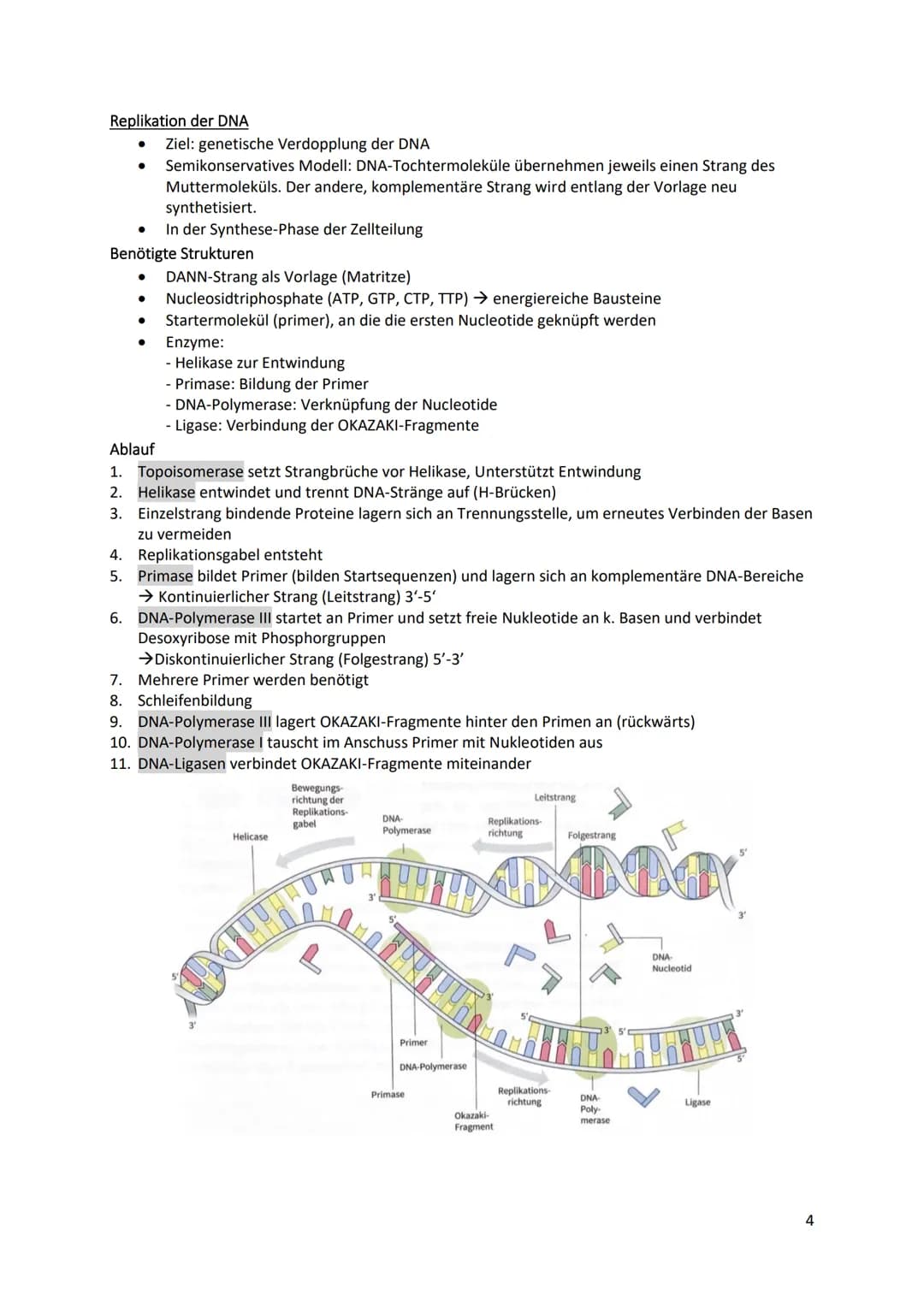 Cytologische Grundlagen der Vererbung
Chromosomen
● Bestehen aus linearen DNA-Molekülen, die basisch mit
Histonen reagieren
DNA windet sich 