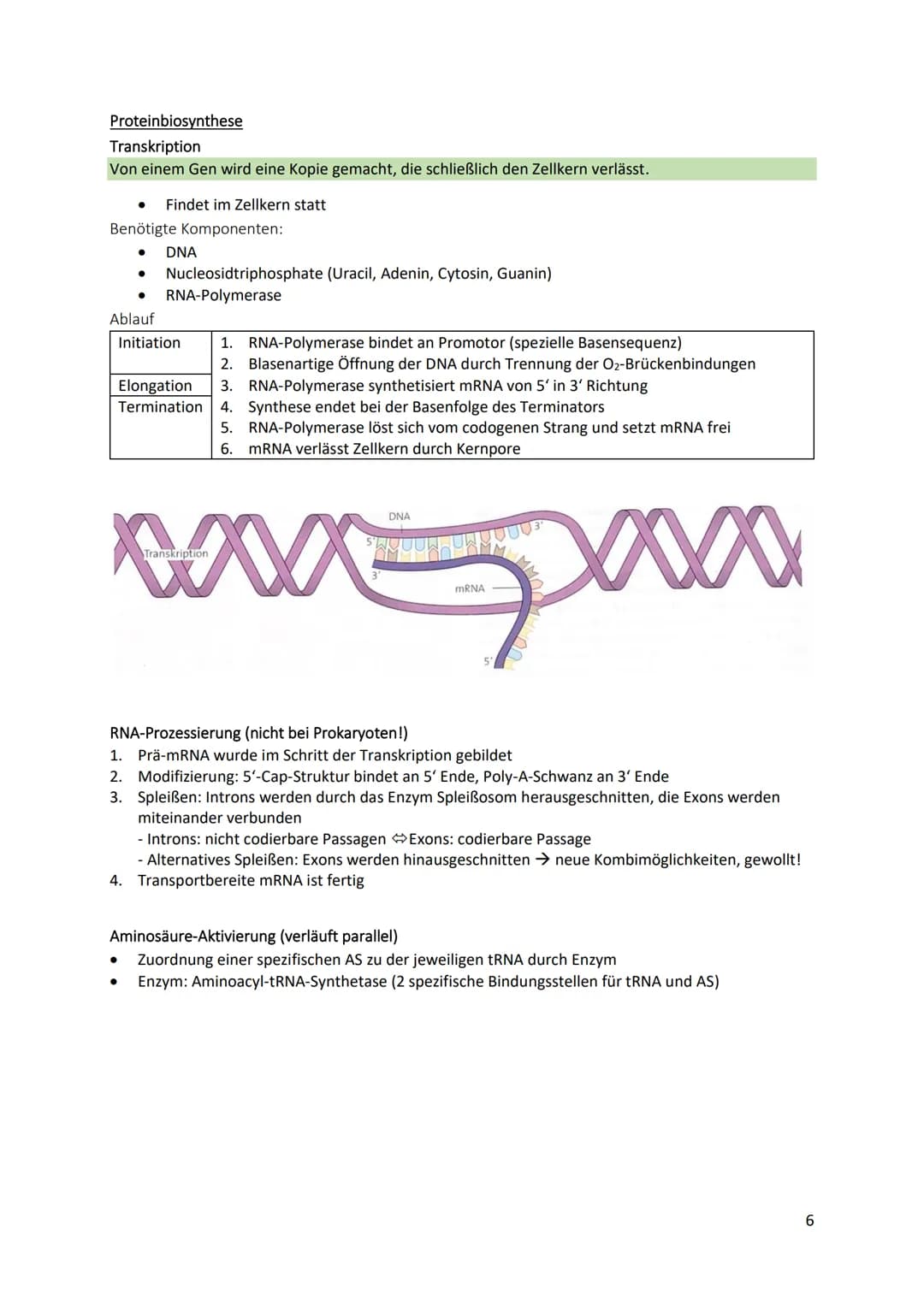 Cytologische Grundlagen der Vererbung
Chromosomen
● Bestehen aus linearen DNA-Molekülen, die basisch mit
Histonen reagieren
DNA windet sich 