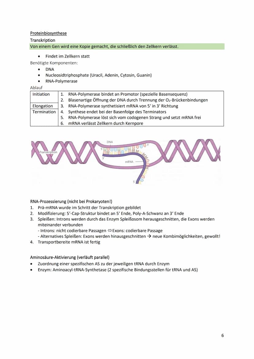 Cytologische Grundlagen der Vererbung
Chromosomen
● Bestehen aus linearen DNA-Molekülen, die basisch mit
Histonen reagieren
DNA windet sich 