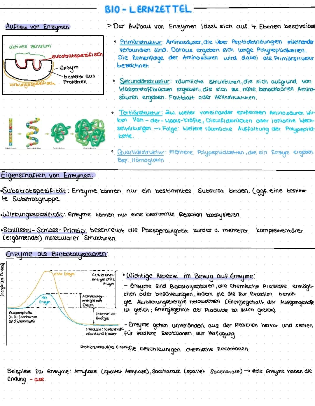 Enzymatik Jahrgang 11