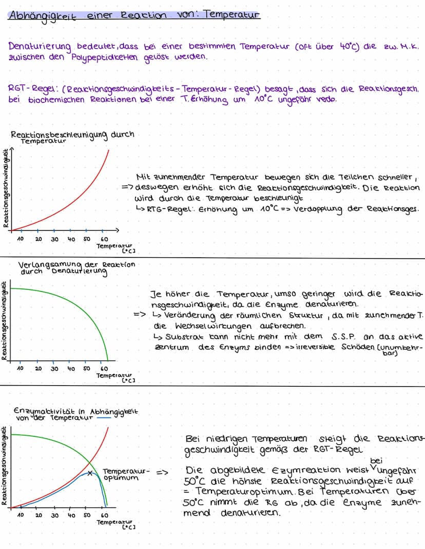 Aufbau von Enzymen
Energie(rel. Einhei
aktives zentrum
wirkungsspezifisch
Substratspezifisch
Enzym
besteht aus
Proteinen
1.§.
Ausgangstoffe
