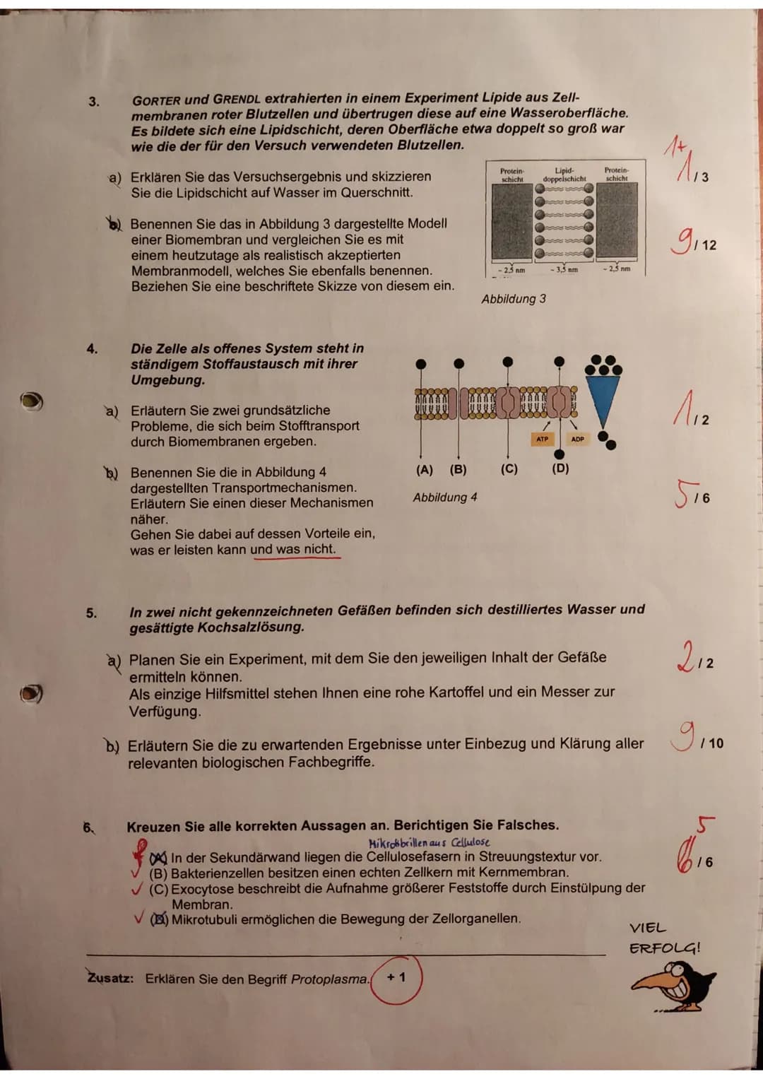 Klausur Biologie - LEISTUNGSKURS
Thema: Zellen, Gewebe, Organe und ihre funktionsbezogene Differenzierung
Name:
Jasmin
56 56 +117
/ 70
BE:
1