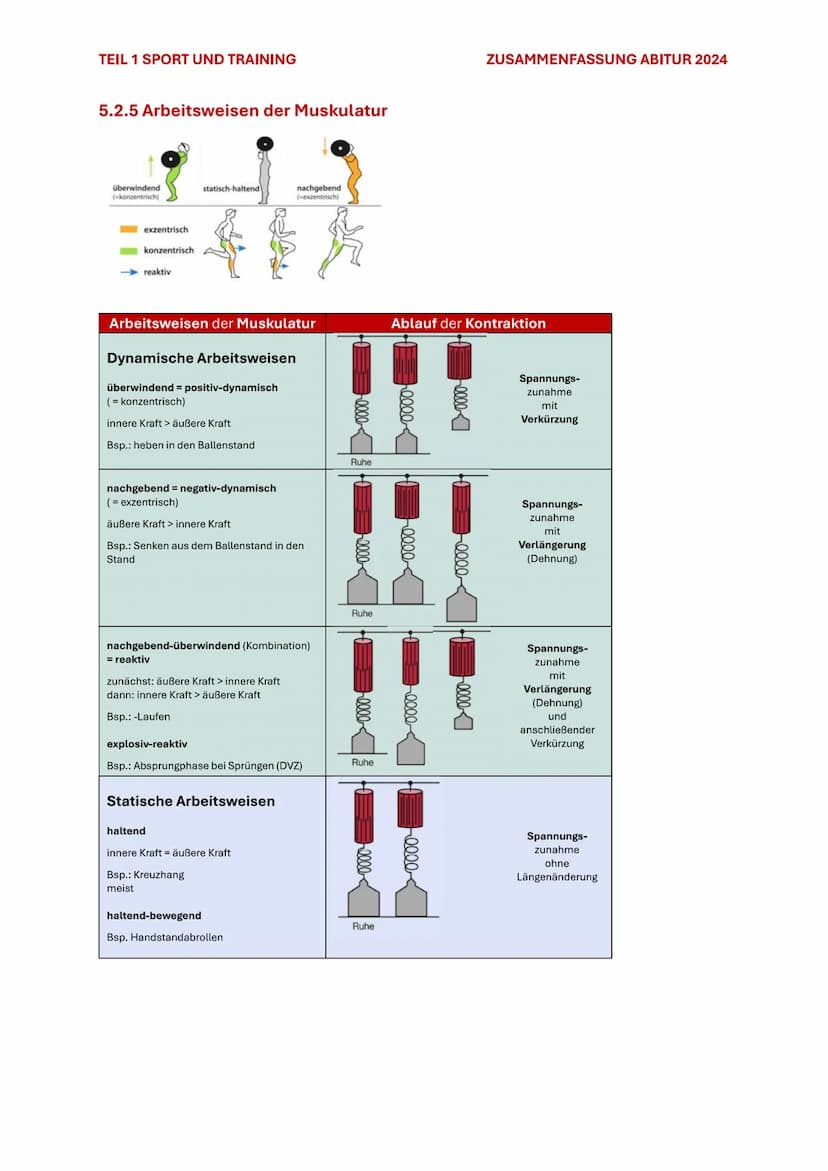 TEIL 1 SPORT UND TRAINING
5. KRAFT
ZUSAMMENFASSUNG ABITUR 2024
5.1 BEDEUTUNG DER KRAFT
Kraft im biologischen Sinne ist die Fähigkeit des Ner
