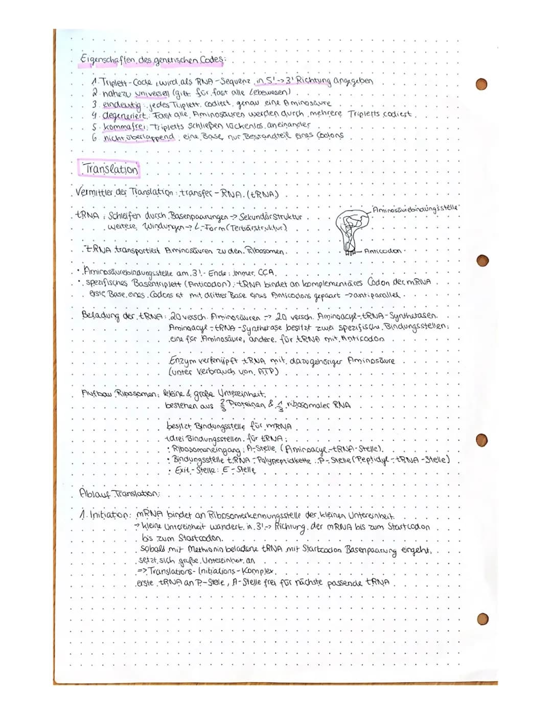 Biologie: 18.11.20
Proteinbiosynthese
•Ein Gen codierd die Produktion eines Polypeptids
Umsetzung der genutischen Information Genexpression
