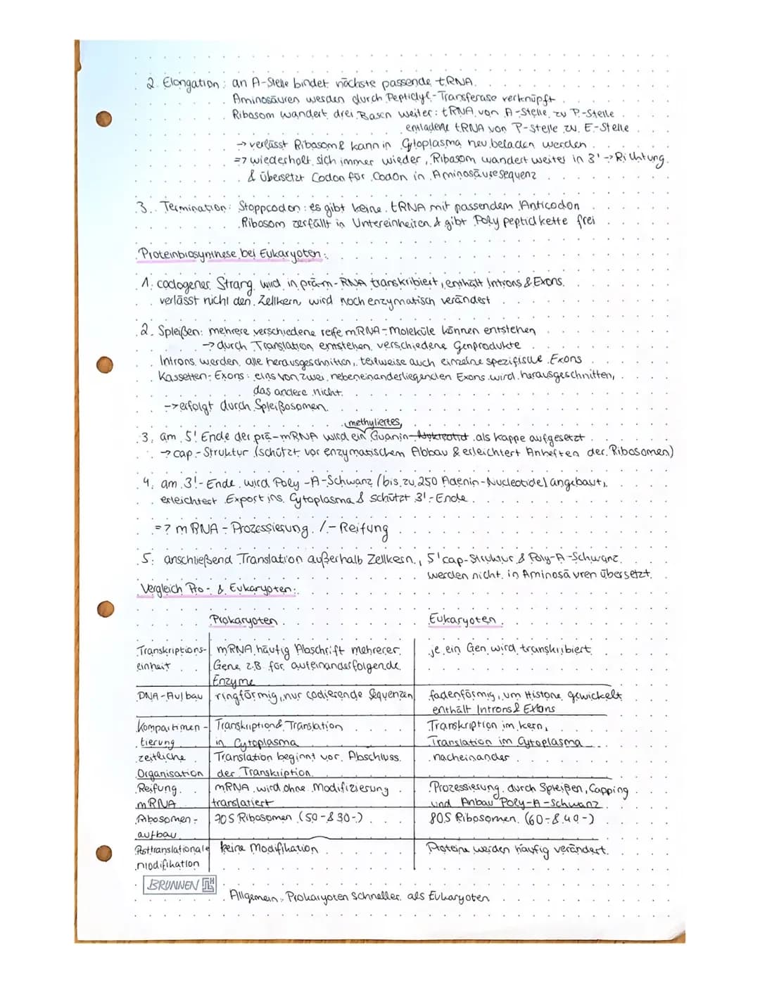 Biologie: 18.11.20
Proteinbiosynthese
•Ein Gen codierd die Produktion eines Polypeptids
Umsetzung der genutischen Information Genexpression
