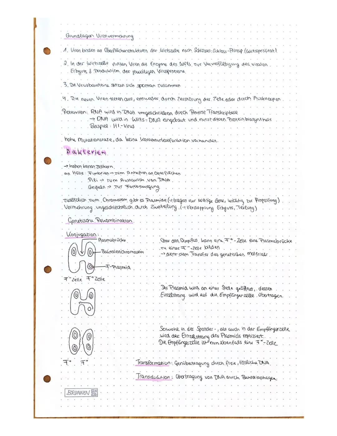 Biologie: 18.11.20
Proteinbiosynthese
•Ein Gen codierd die Produktion eines Polypeptids
Umsetzung der genutischen Information Genexpression
