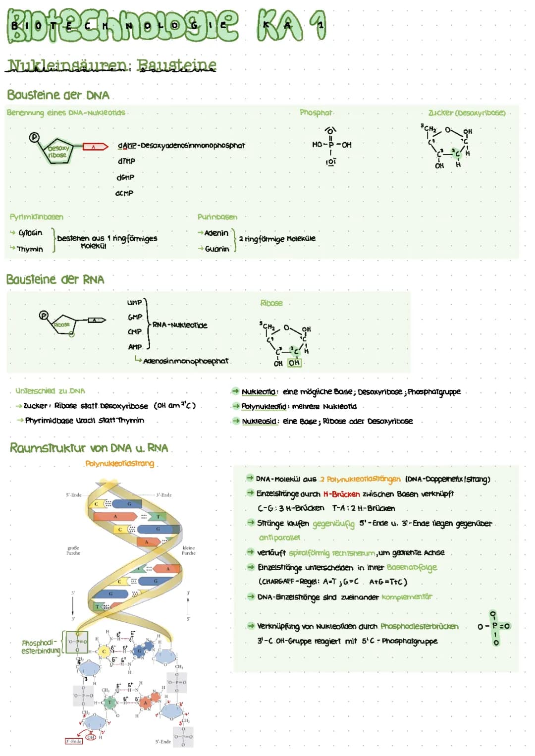 DNA