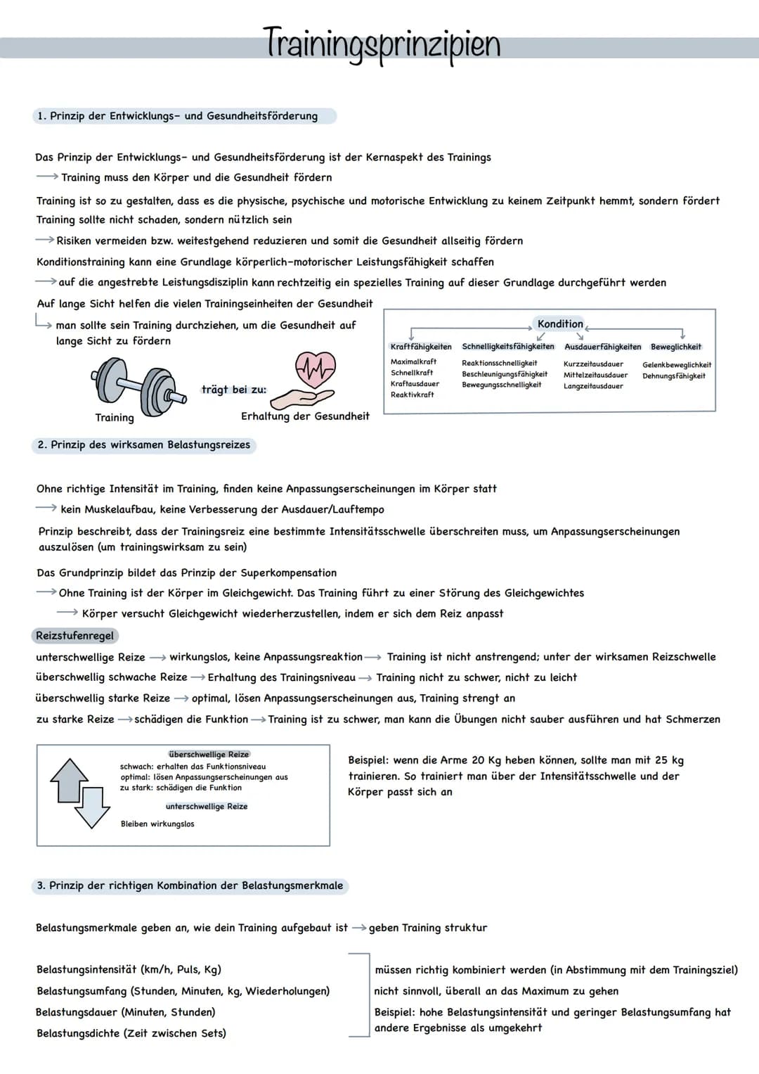 1. Prinzip der Entwicklungs- und Gesundheitsförderung
Das Prinzip der Entwicklungs- und Gesundheitsförderung ist der Kernaspekt des Training