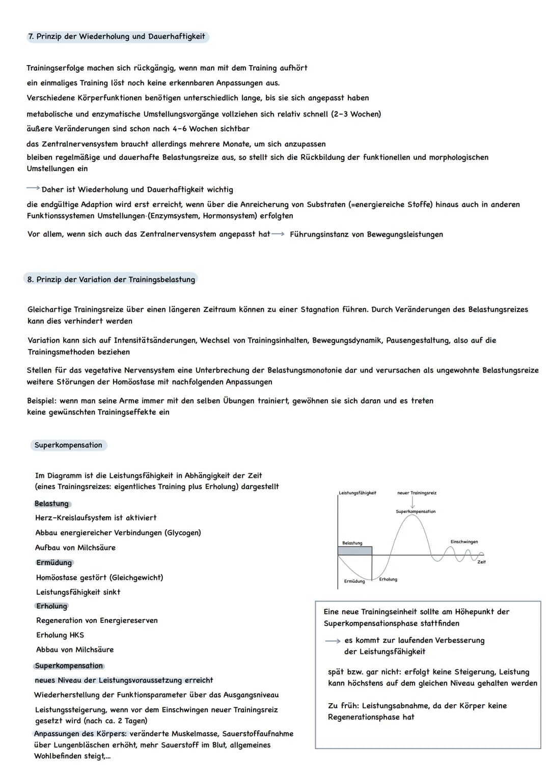 1. Prinzip der Entwicklungs- und Gesundheitsförderung
Das Prinzip der Entwicklungs- und Gesundheitsförderung ist der Kernaspekt des Training
