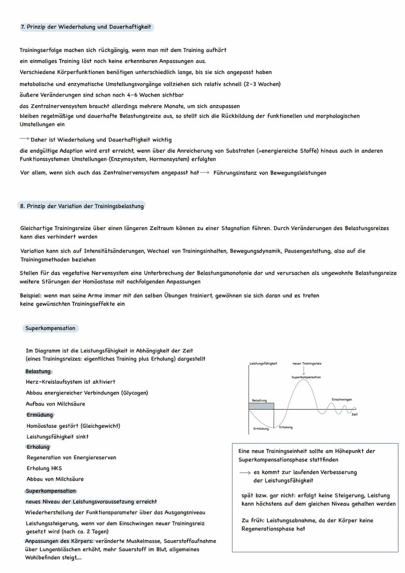 1. Prinzip der Entwicklungs- und Gesundheitsförderung
Das Prinzip der Entwicklungs- und Gesundheitsförderung ist der Kernaspekt des Training