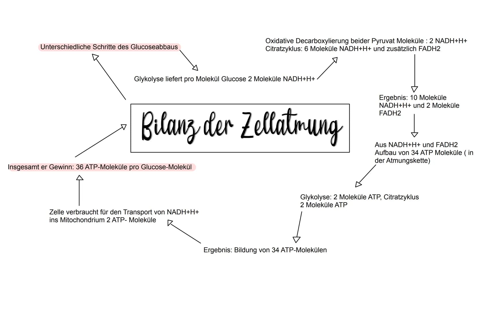WICHTIG ZU WISSEN
- Enzyme sind Proteine
- Die 3D-Struktur von Enzymen beeinflusst was sie binden
können (Substratspezifisch) und was sie ma