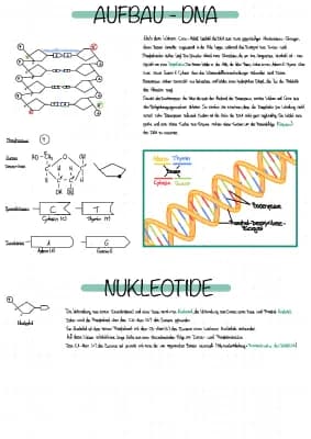 Know Von der DNA zum Protein (Abi) thumbnail