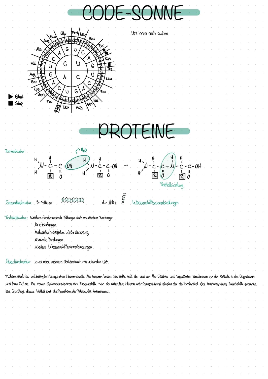 
<p>Phosphorsäure ist eine anorganische Säure, die in vielen Lebensmitteln und Getränken vorkommt. Sie wird auch als Lebensmittelzusatzstoff