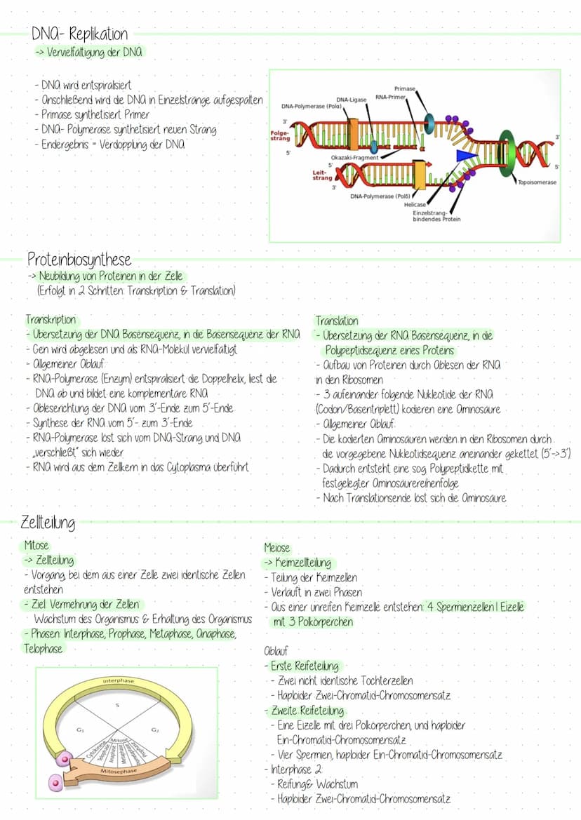 Grundlagen der Biologie
Die Zelle
→→ Kleinste Einheit des Körper mit allen Merkmalen des Lebens Formen
Eigenschaften
-> Stoffwechsel
→> Wach