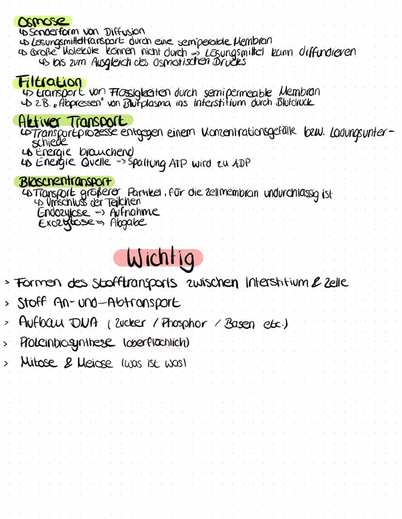 Grundlagen der Biologie
Die Zelle
→→ Kleinste Einheit des Körper mit allen Merkmalen des Lebens Formen
Eigenschaften
-> Stoffwechsel
→> Wach
