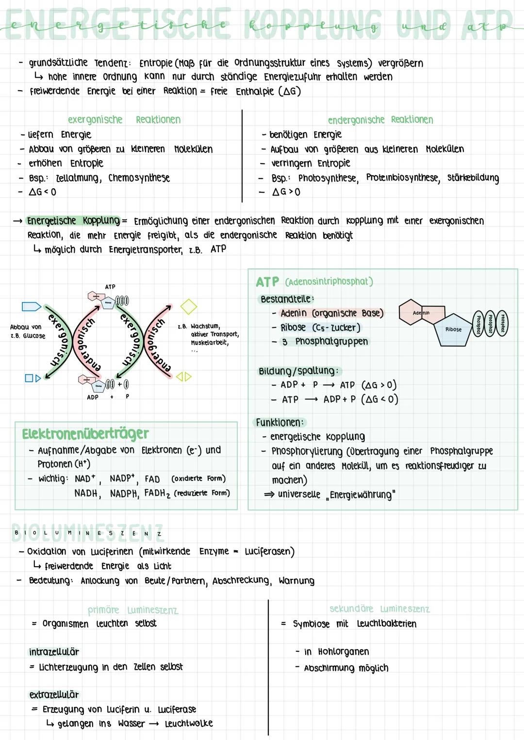 energetische Koppens and atp
KOPPLING
UND
grundsätzliche Tendenz: Entropie (Maß für die ordnungsstruktur eines Systems) vergrößern
↳ hohe in