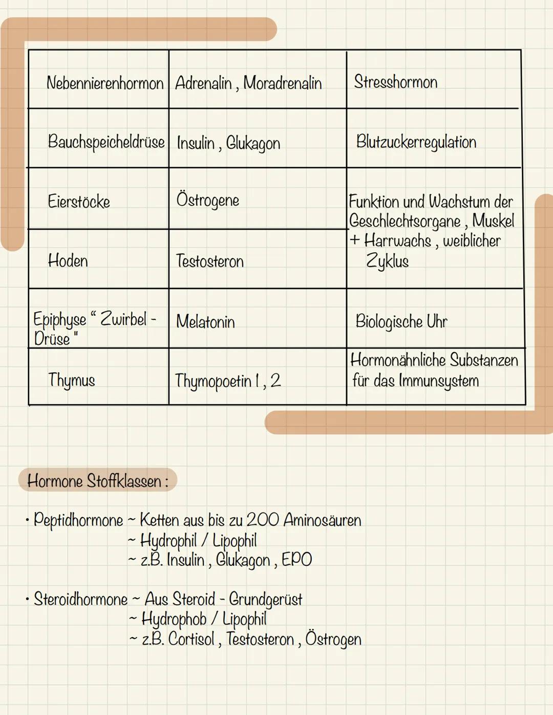 Hormonsystem

Definition:

Des Hormonsystem wird die Herstellung und Ausschüttung von Hormonen haftbar

Was ist den Hormonsystem :

• Des Ho