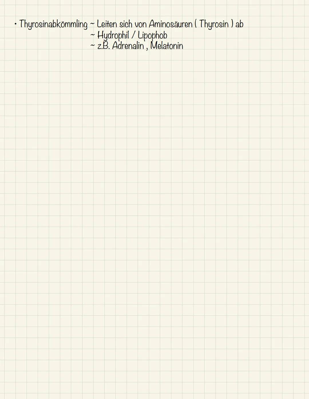 Hormonsystem

Definition:

Des Hormonsystem wird die Herstellung und Ausschüttung von Hormonen haftbar

Was ist den Hormonsystem :

• Des Ho