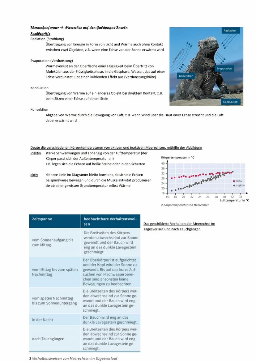 Biotop
Fachbegriffe der Ökologie
Abiotische Umweltfaktoren unbelebte Umwelt, mit den Faktoren wie Temperatur, Licht, Wasser oder pH-Wert
Hom