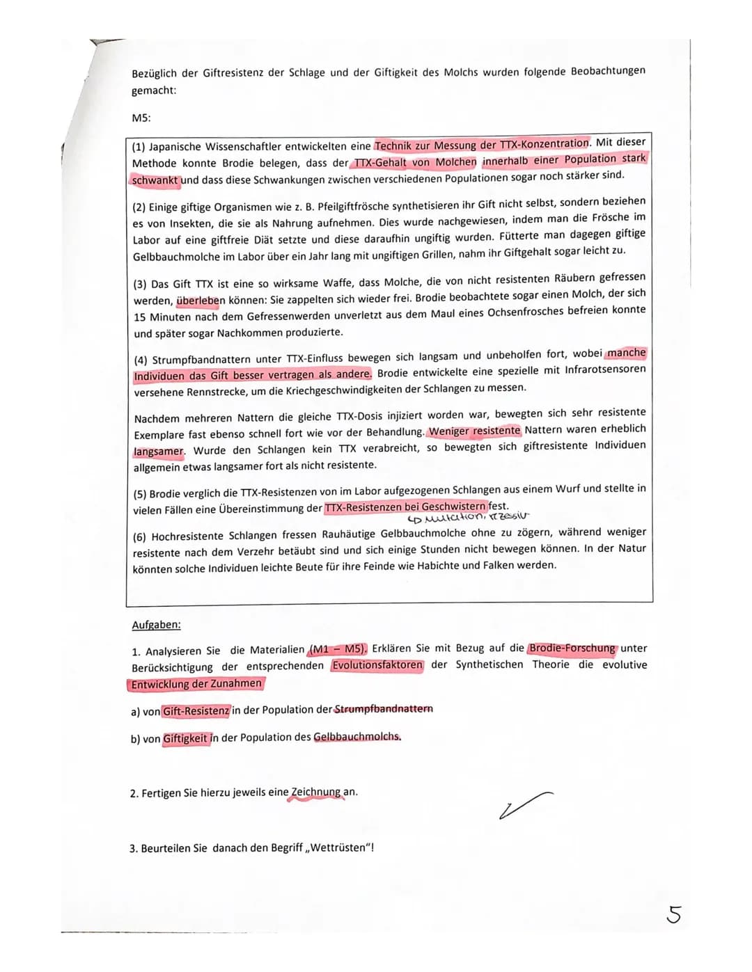 Vorabitur Evolution, GK 2+3 am 28.2.23 Peters, Gerads, Wrzeciono
| Ma
Thema: Artentstehung bei Goldhähnchen unter Berücksichtigung ökologisc