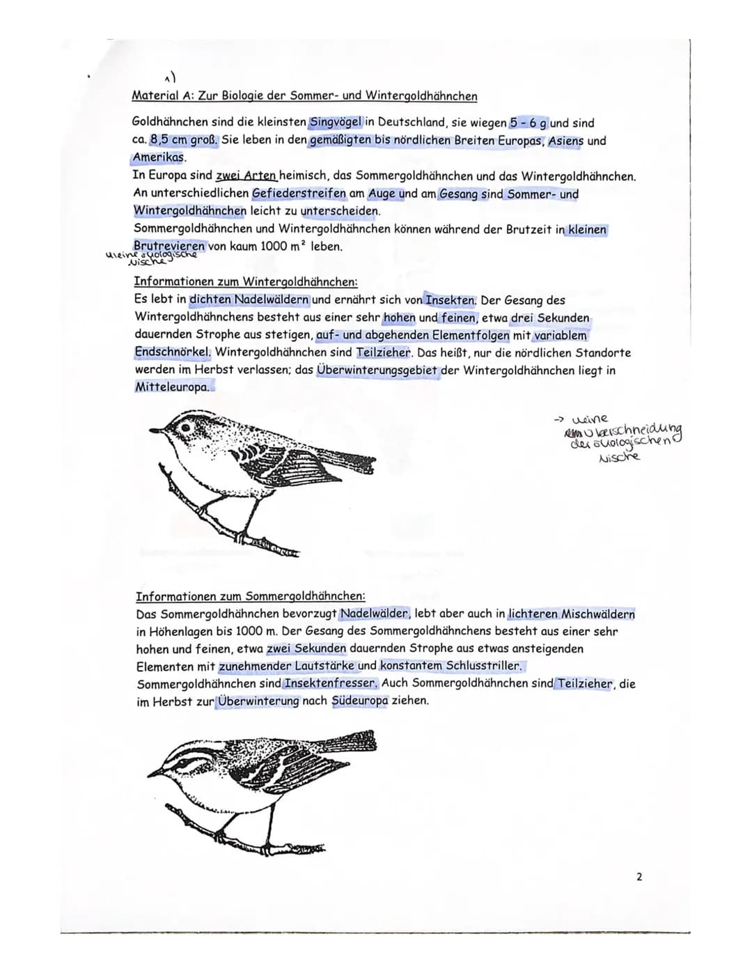 Vorabitur Evolution, GK 2+3 am 28.2.23 Peters, Gerads, Wrzeciono
| Ma
Thema: Artentstehung bei Goldhähnchen unter Berücksichtigung ökologisc