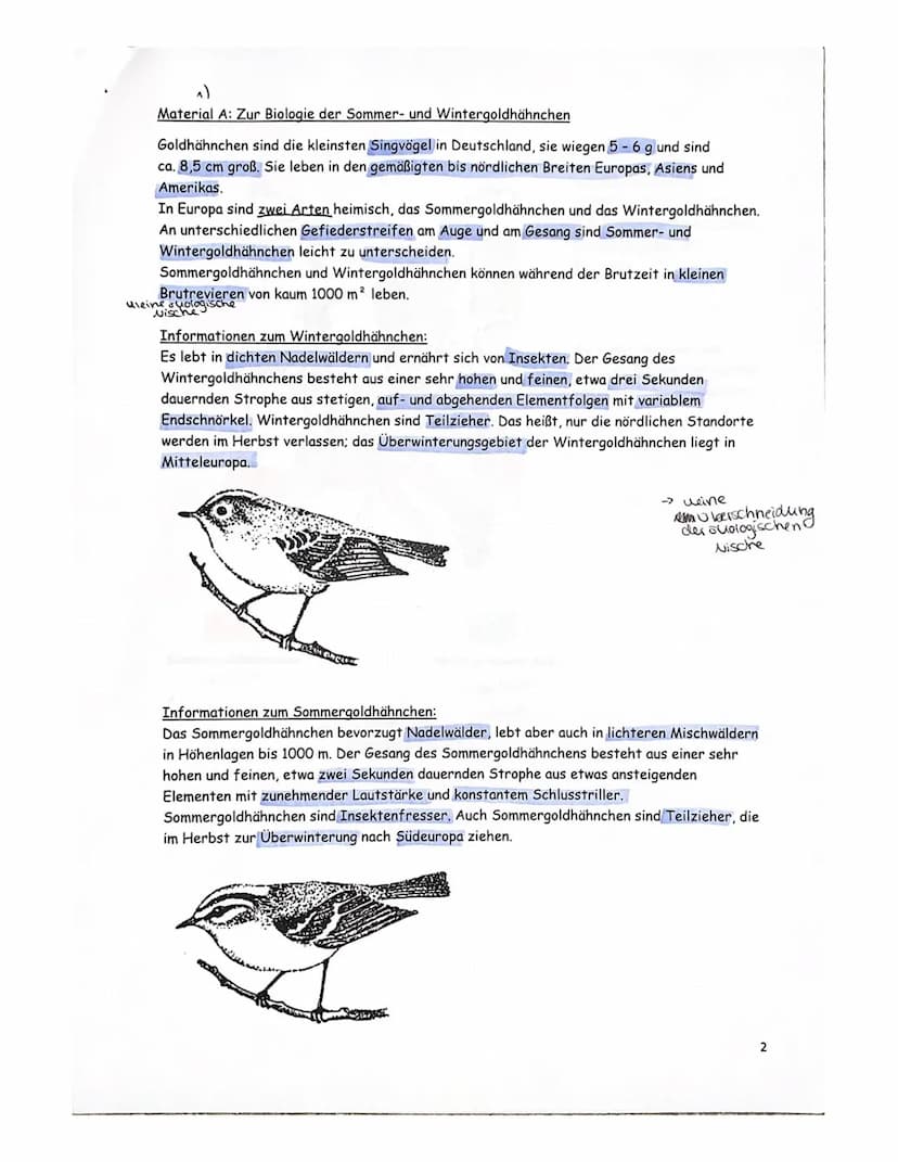 Vorabitur Evolution, GK 2+3 am 28.2.23 Peters, Gerads, Wrzeciono
| Ma
Thema: Artentstehung bei Goldhähnchen unter Berücksichtigung ökologisc