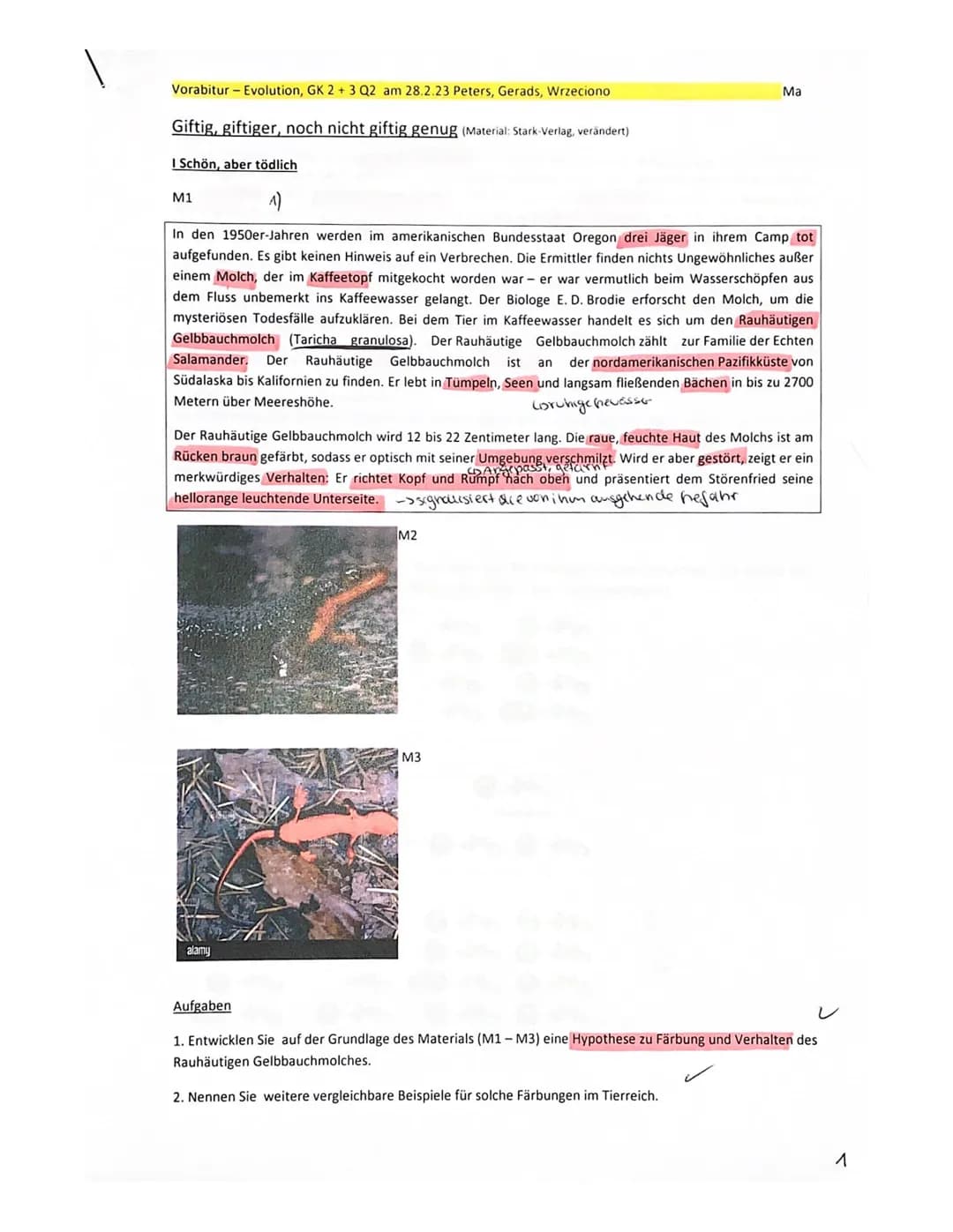 Vorabitur Evolution, GK 2+3 am 28.2.23 Peters, Gerads, Wrzeciono
| Ma
Thema: Artentstehung bei Goldhähnchen unter Berücksichtigung ökologisc