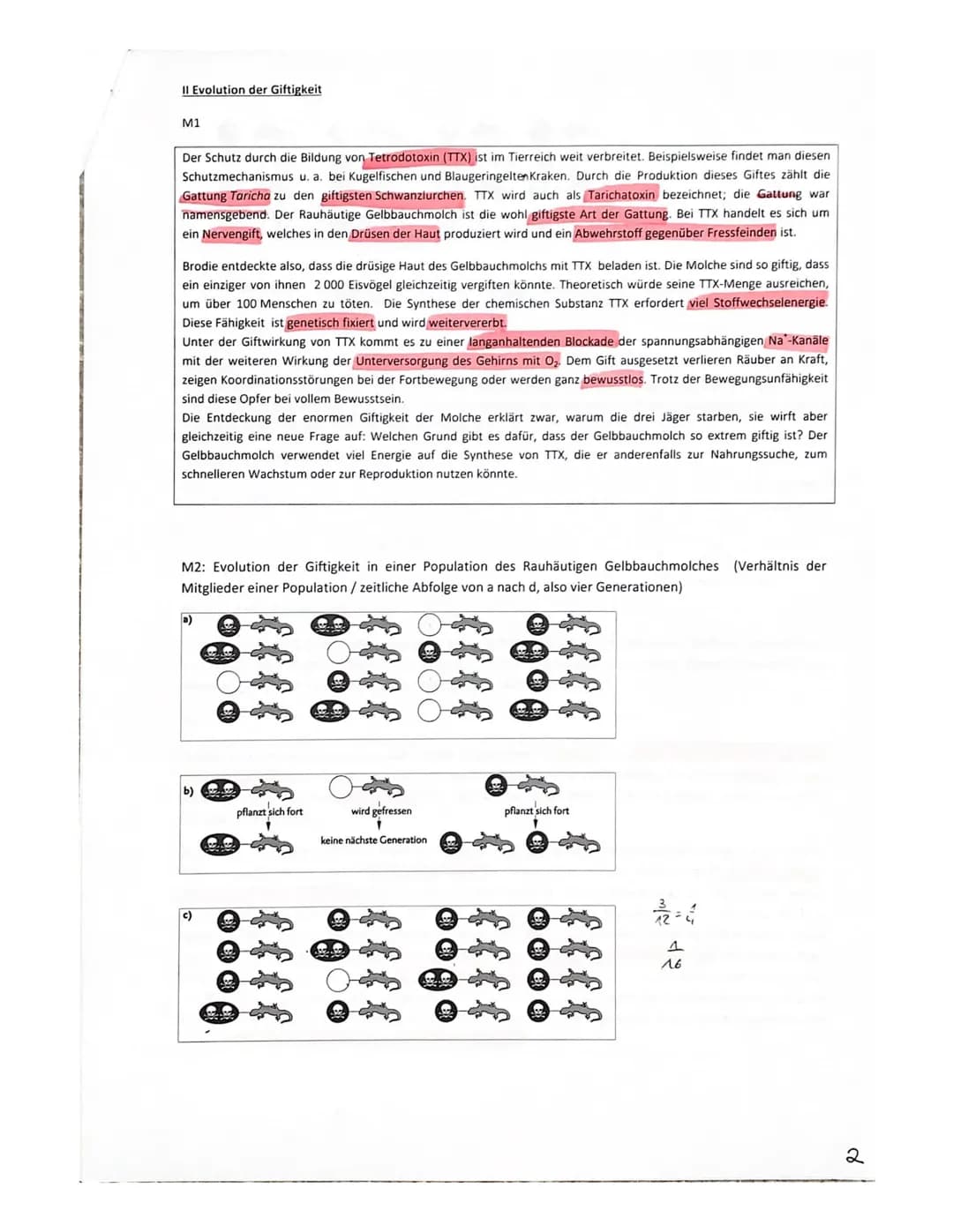 Vorabitur Evolution, GK 2+3 am 28.2.23 Peters, Gerads, Wrzeciono
| Ma
Thema: Artentstehung bei Goldhähnchen unter Berücksichtigung ökologisc