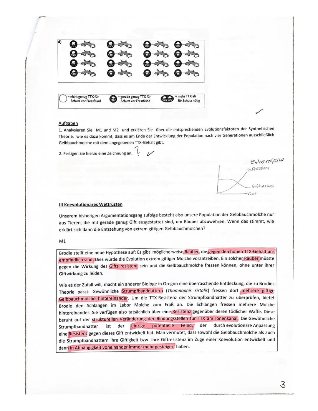 Vorabitur Evolution, GK 2+3 am 28.2.23 Peters, Gerads, Wrzeciono
| Ma
Thema: Artentstehung bei Goldhähnchen unter Berücksichtigung ökologisc