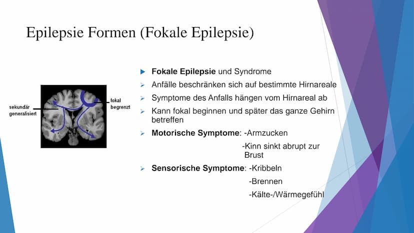 MAT
AN
Epilepsie
W Gliederung
Was ist Epilepsie?
Definition
Formen
Unterschiede im Hirn
Epileptischer Anfall
Erste Hilfe
Ursachen
Risikofakt