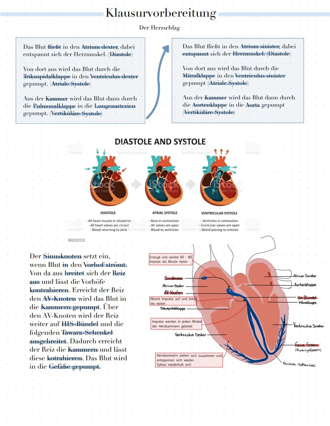 Klausurvorbereitung
Themenübersicht
•Herz-Kreislauf-System
Herzschlag
Herzerregungsweiterleitug
• EKG Kurve physiologisch und Pathologisch
A