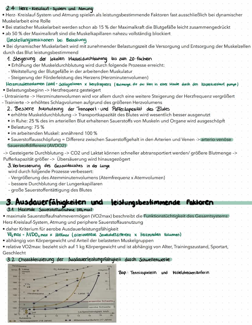 AUSDAUER
Im Sport und auch allgemein versteht man unter Ausdauer die physische und psychische Widerstandsfähigkeit gegen.
Ermüdung bei relat
