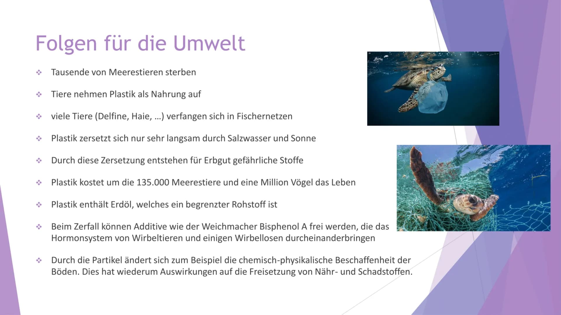 Nachhaltigkeit und
Plastikmüll
Präsentation von Inhaltsübersicht
Allgemeine Informationen über Plastikmüll
Wie gelangt der Müll in die Meere