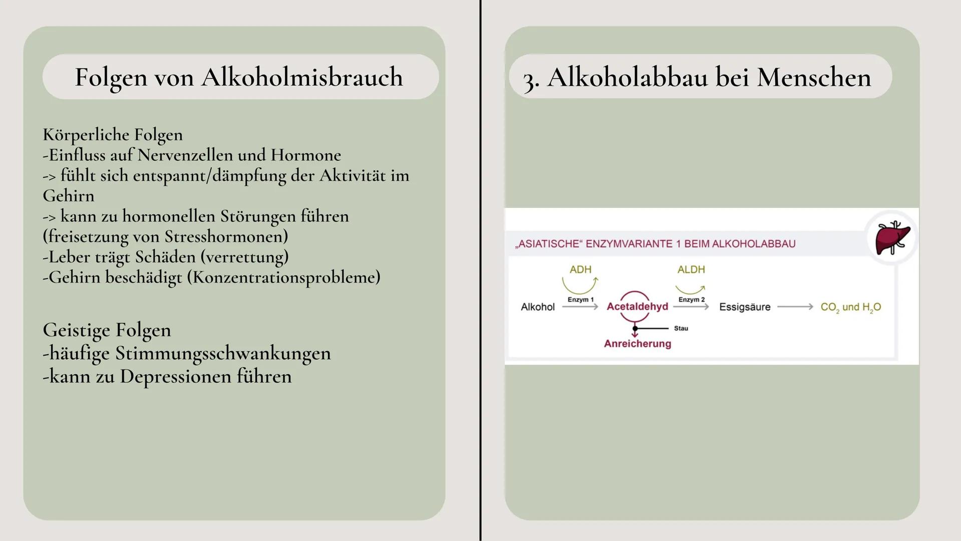 Ethanol als
Trinkalkohol

ETHANOL
90% P.A.
CH$_3$CH$_2$OH

Ethanol

C$_2$H$_6$O ΟΙ

02

Gliederung

Alkanole

03

04

Eigenschaften von
Etha