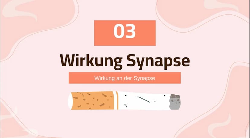 1
Nikotin
Wirkung und Folgen 01
Basic Infos
Allgemeine Infos, Statistik,
Anwendungen
04
Sucht
Wie entsteht eine Sucht?
Themen
02
Wirkung
Kör
