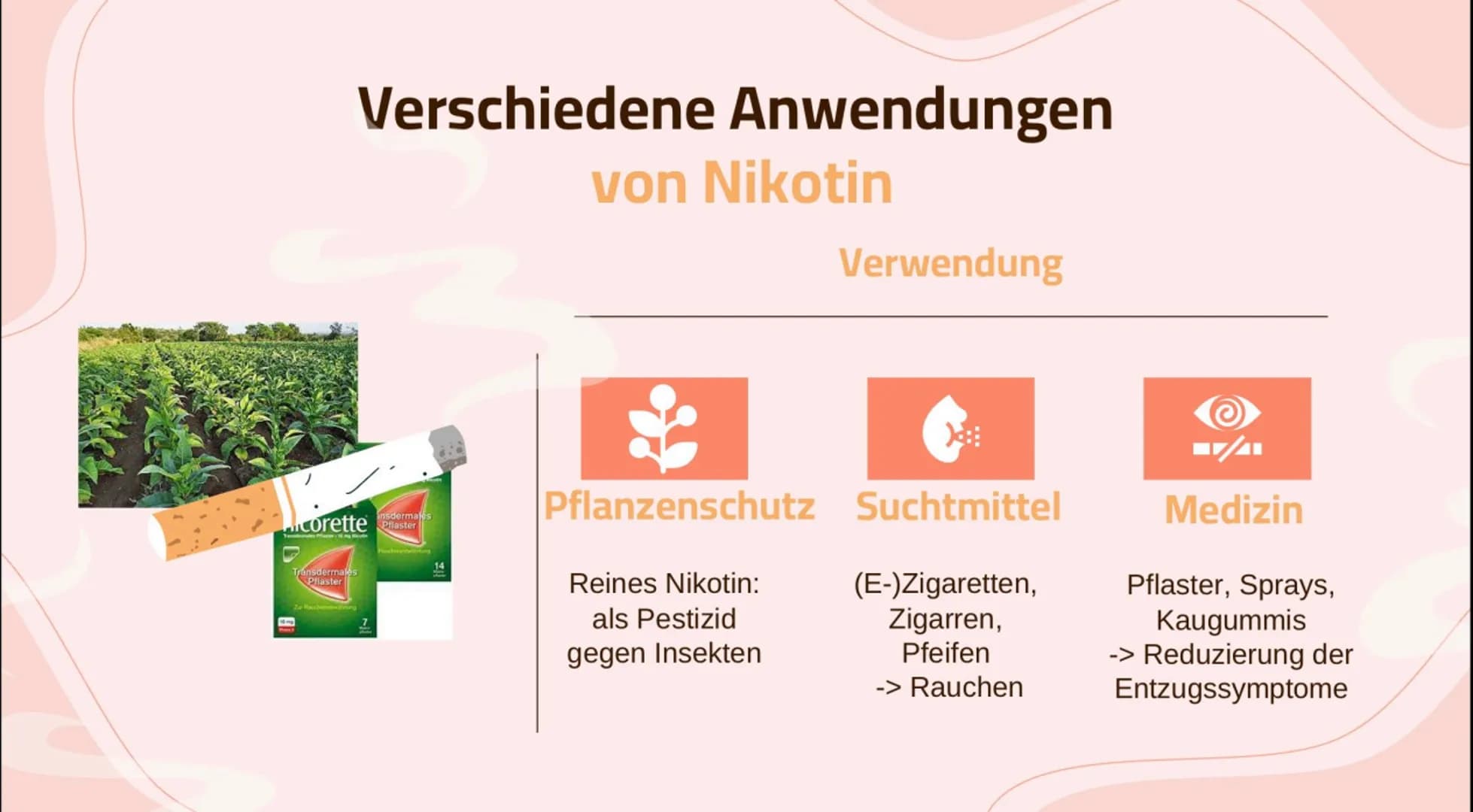 1
Nikotin
Wirkung und Folgen 01
Basic Infos
Allgemeine Infos, Statistik,
Anwendungen
04
Sucht
Wie entsteht eine Sucht?
Themen
02
Wirkung
Kör