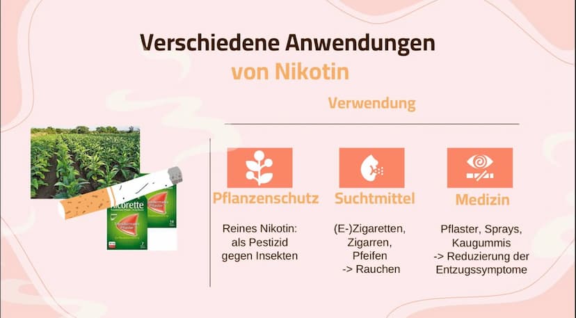 1
Nikotin
Wirkung und Folgen 01
Basic Infos
Allgemeine Infos, Statistik,
Anwendungen
04
Sucht
Wie entsteht eine Sucht?
Themen
02
Wirkung
Kör