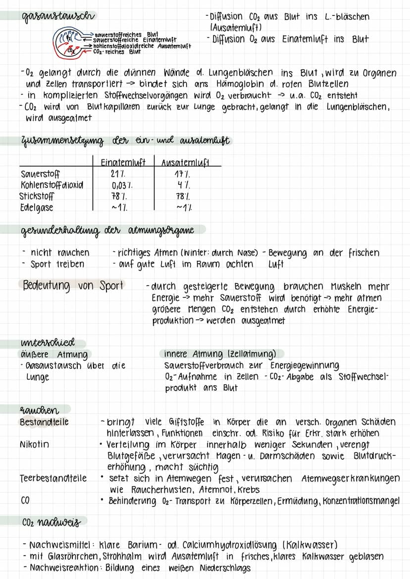 ATMUNGSSYSTEM
-Nasenhöhle
Rachenraum
Kehlkopf
-Speiseröhre
Luftröhre
•
-Lungen/Lungenflügel
Bronchien
●
gasaustausch
funktionen
erwärmen, an