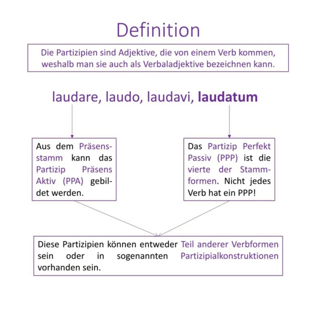 PC Latein: Erkennen, Übersetzen und Übungen