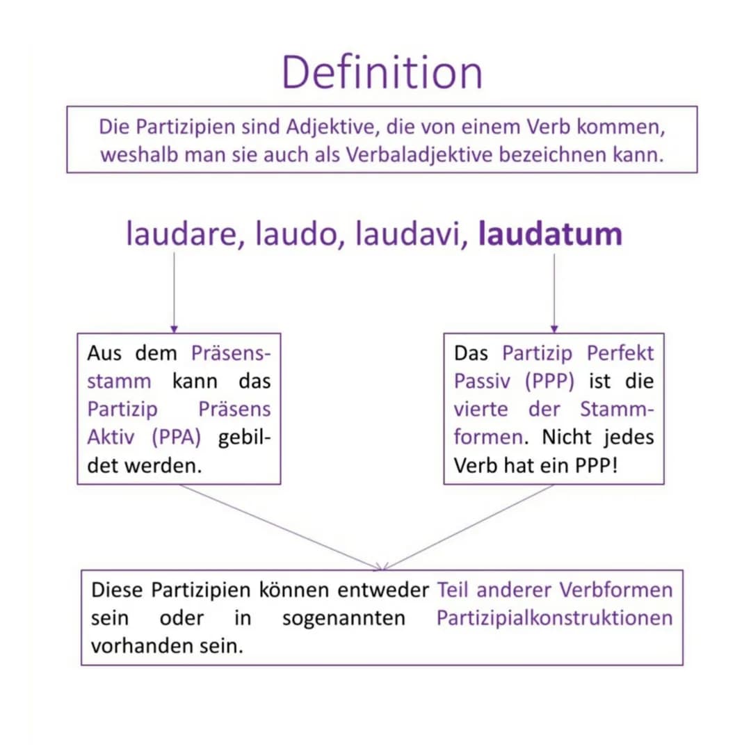 Definition
Die Partizipien sind Adjektive, die von einem Verb kommen,
weshalb man sie auch als Verbaladjektive bezeichnen kann.
laudare, lau