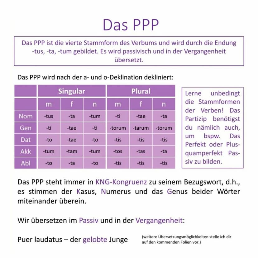 Definition
Die Partizipien sind Adjektive, die von einem Verb kommen,
weshalb man sie auch als Verbaladjektive bezeichnen kann.
laudare, lau
