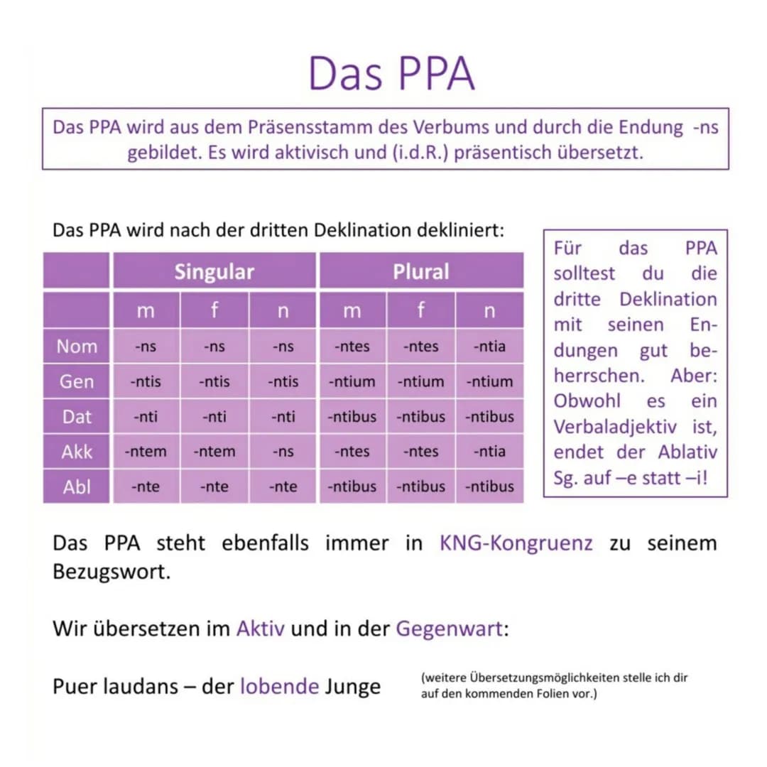 Definition
Die Partizipien sind Adjektive, die von einem Verb kommen,
weshalb man sie auch als Verbaladjektive bezeichnen kann.
laudare, lau